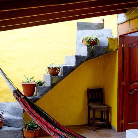 Cafe Racer Hostel Jardín Dış mekan fotoğraf