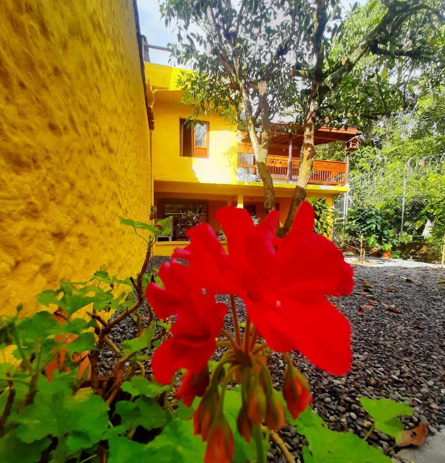 Cafe Racer Hostel Jardín Dış mekan fotoğraf